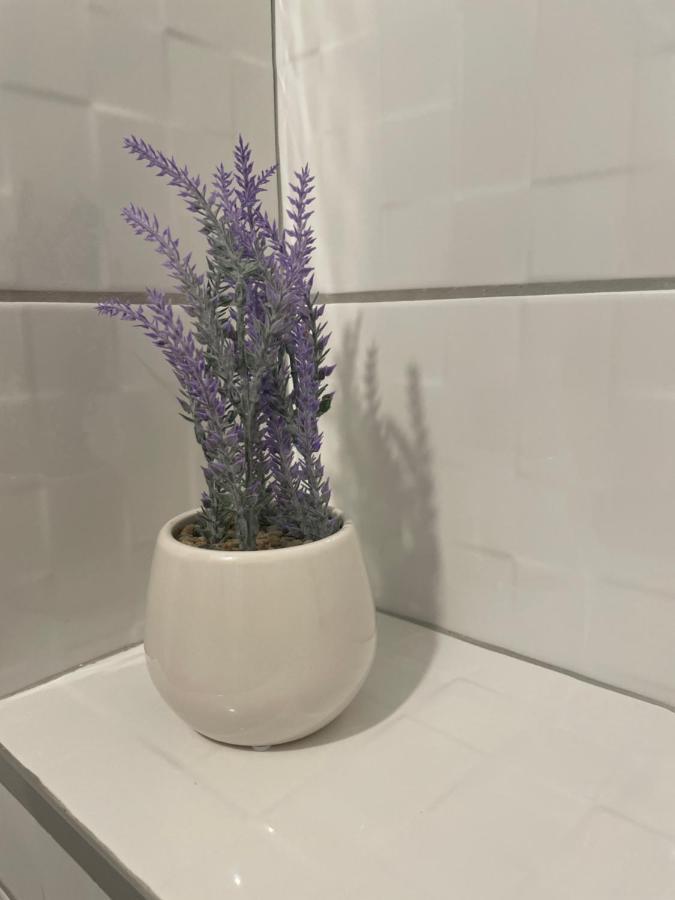 Drinka Parlament Center Apartment Belgrad Zewnętrze zdjęcie